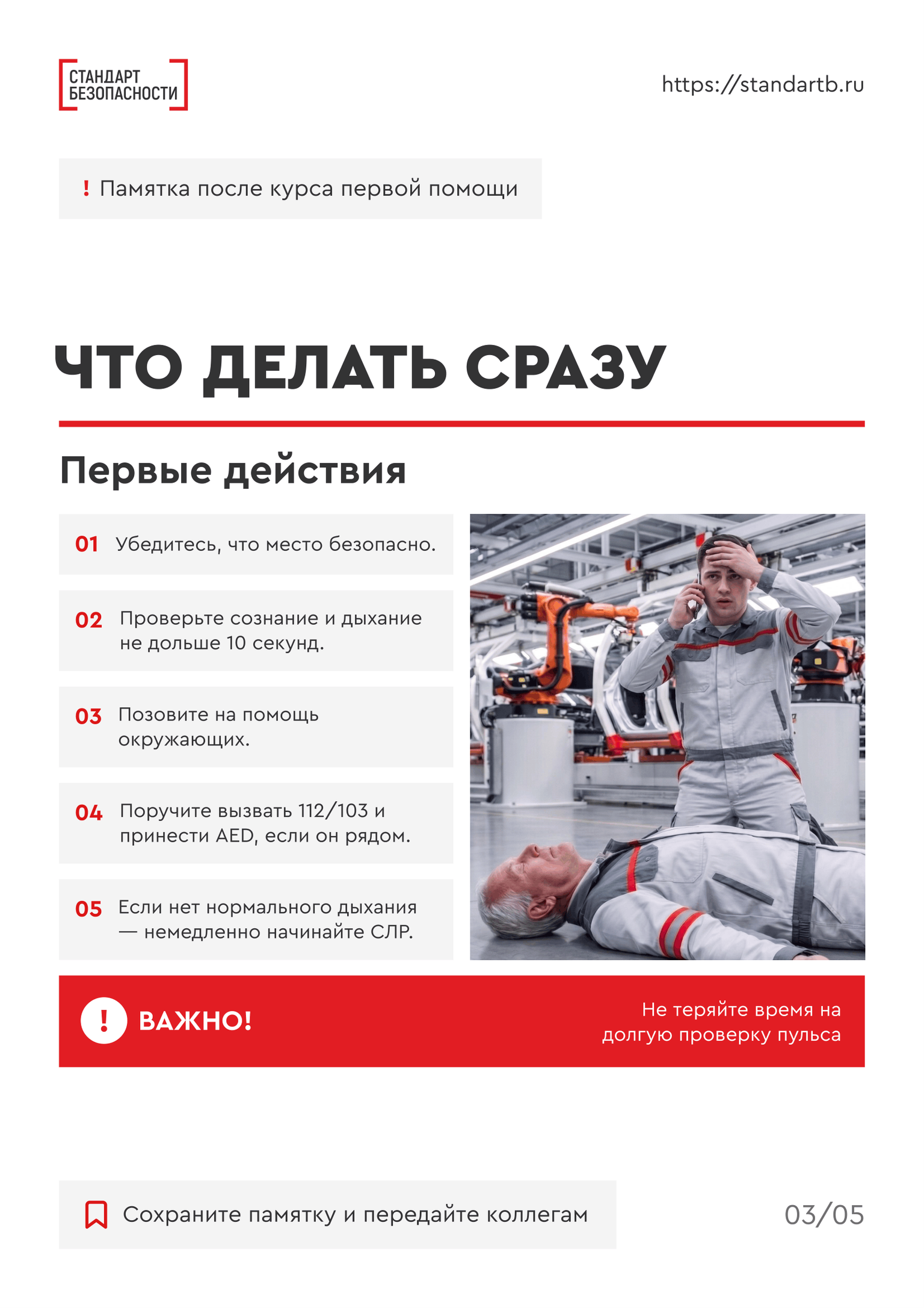 Что будет в материалах