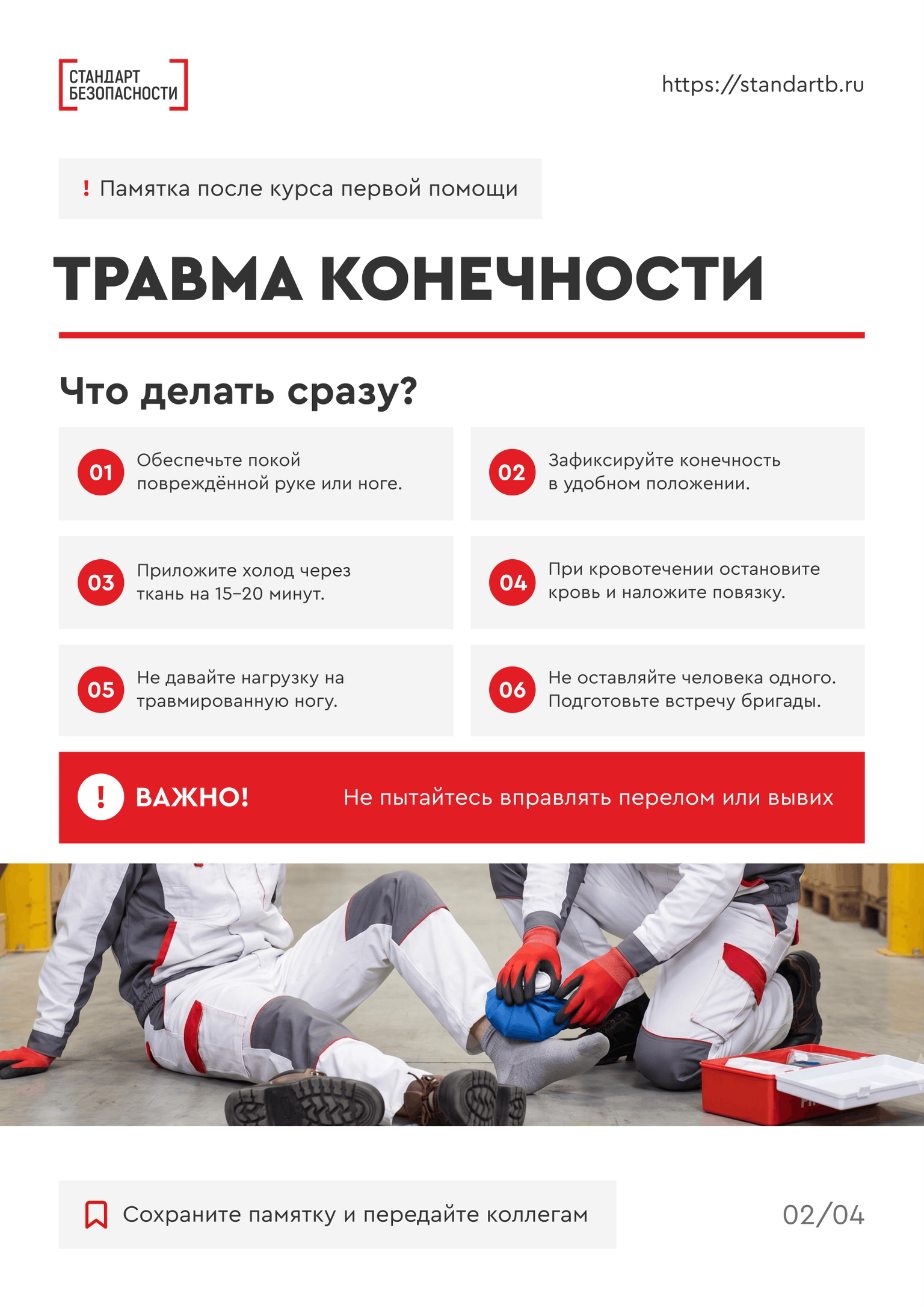Что будет в материалах