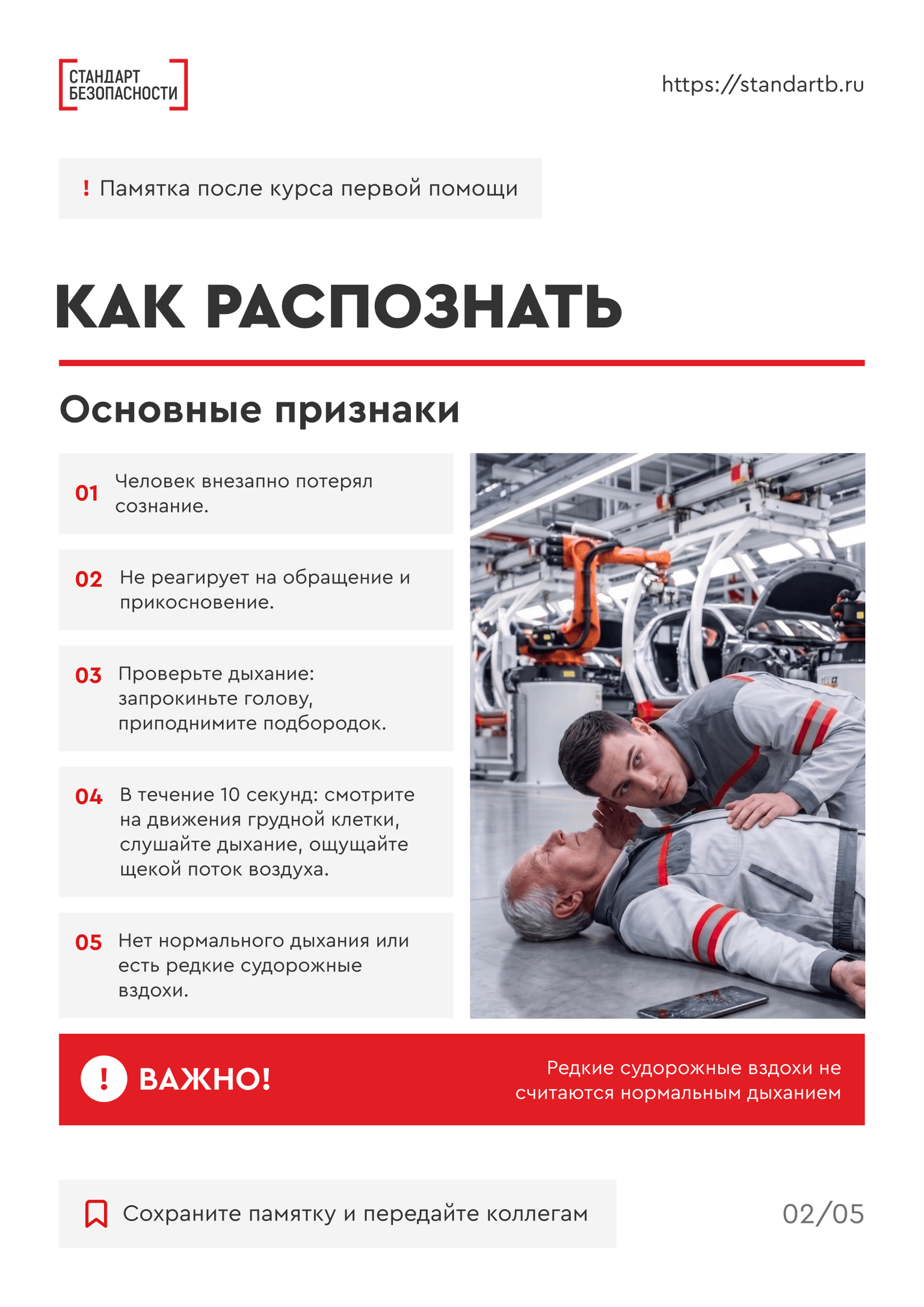 Что будет в материалах