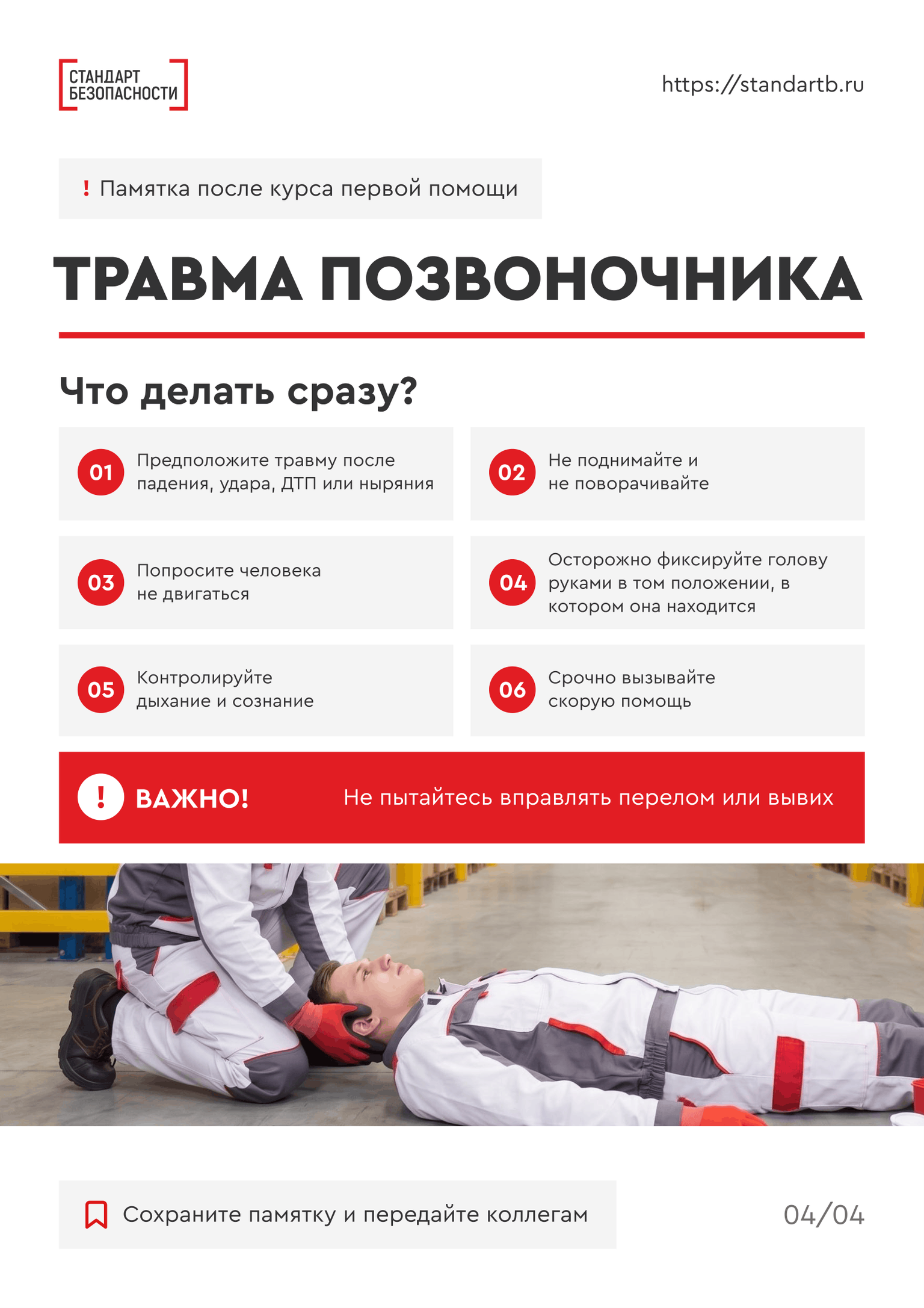 Что будет в материалах